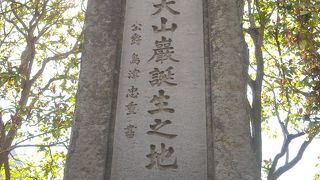 山は富士、陸軍は大山