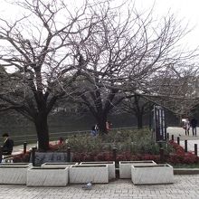 桜などがあり綺麗なところだがいろいろの方がいます