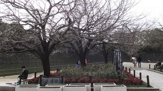 小さな公園だが桜や震災イチョウなどがあります