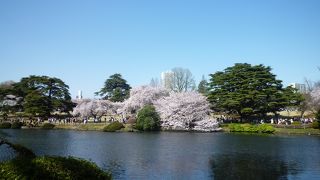 桜の時期は大混雑。