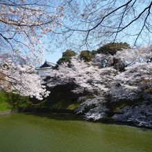 お濠の向こう側は皇居