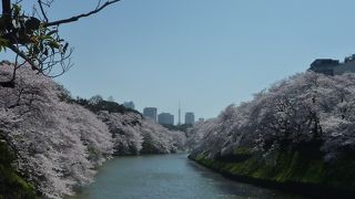 花見の時期はものすごい人出です