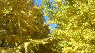 大人も子供も楽しめる広ーい公園