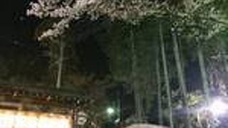 夜の犬山城ライトアップがオススメ