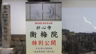 心が落ち着く、緑の庭園。