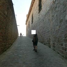 城壁はしっかり作られたようですね。