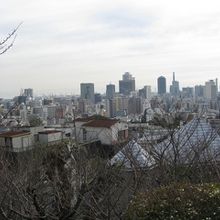 ここからの景色は素晴らしい