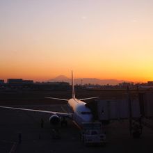 綺麗ですねー。