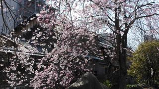 京都らしさがギュっと詰まったスポット