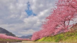 渋滞・人混みは必須