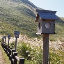 夜はこの常夜灯に明かりがともるようです。