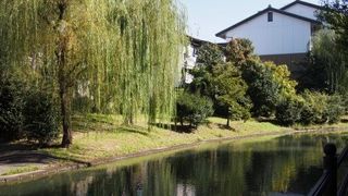 ゆったりした流れに癒される