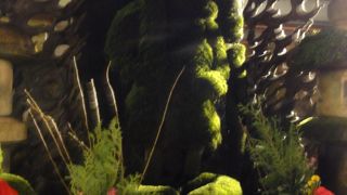 法善寺横丁にあります