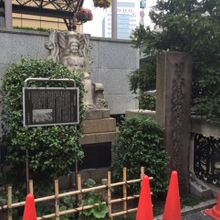 昔はここが魚市場だったと思うと感慨深いです