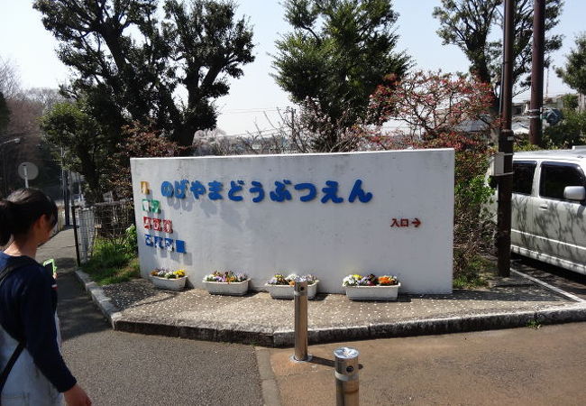 野毛山動物園 クチコミ アクセス 営業時間 東神奈川 保土ヶ谷 弘明寺 フォートラベル 野毛山動物園 クチコミ アクセス 営業時間 東神奈川 保土ヶ谷 弘明寺 フォートラベル