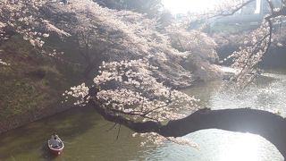 本当に美しい！