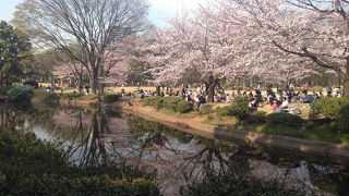 お花見スポット