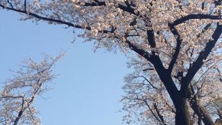 よく来ていましたー。