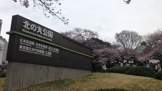 公園内は広いです