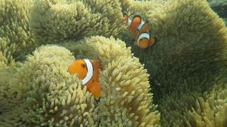 小さな入り江の静かな海。