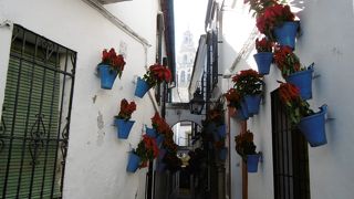 観光客が居なくなったけれど