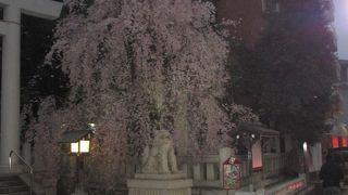 ゆるやかな坂です