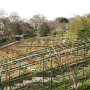 時期を選べばよさそうな植物園