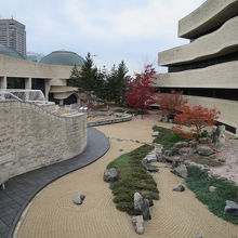 美しい日本庭園もありました