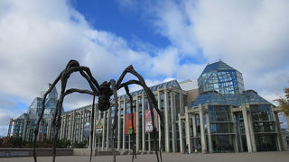 見所いっぱいで、建物自体もアートです