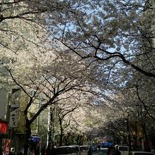 八重洲口側のスタート地点