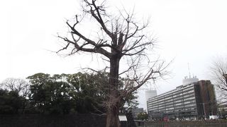 気象庁の天気予報に時折姿を現すとか です