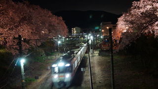 かながわ　山北さくらまつり　夜桜を横切る御殿場線　2015春