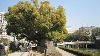 説明板で知りました