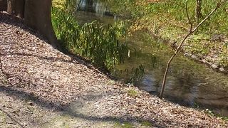 季節ごとに訪れてみたい