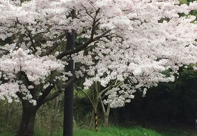 青海神社