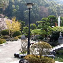 和庭園ですがちょうど桜の時期だったのでとても綺麗でした。