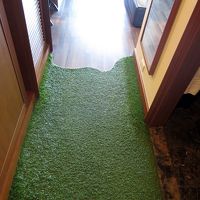 さて客室ホワイエ部分にはマット代わりの人工芝
