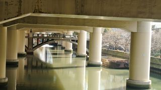 高速道路の下だけど、再生に向けて。