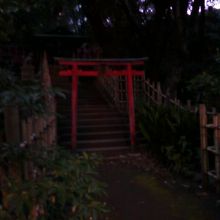 うっそうとしています。