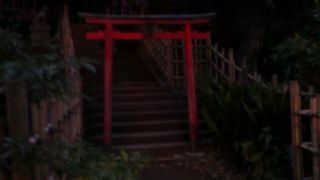 幽玄な雰囲気が漂っています。