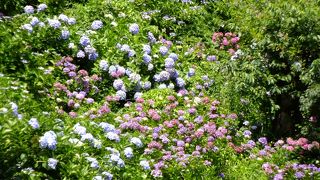 下田公園にて開催