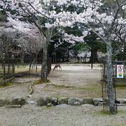 桜がすごくきれいでした