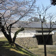 櫓門と桜