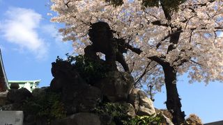 江戸時代に製作された石獅子を見ることができます