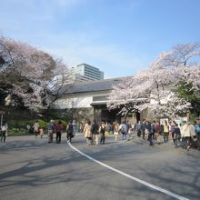 田安門武道館側から