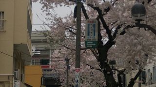 比較的空いているのは