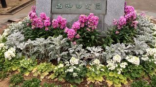 珍しい、子供が遊んでいる公園