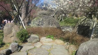 想像以上に綺麗でした