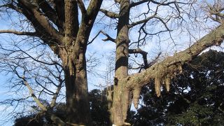 縁結び。ピンクの絵馬が沢山奉納されています