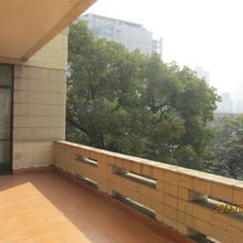 岳陽医院問診部北楼のベランダ。